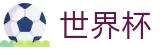 2026FIFA世界杯(SHIJIEBEI2026)指定投注平台